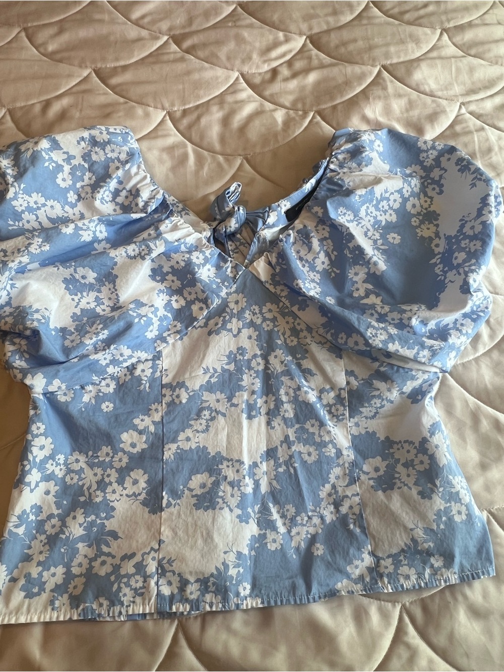 Floral Puff-Sleeve Crop Top in Blue and White